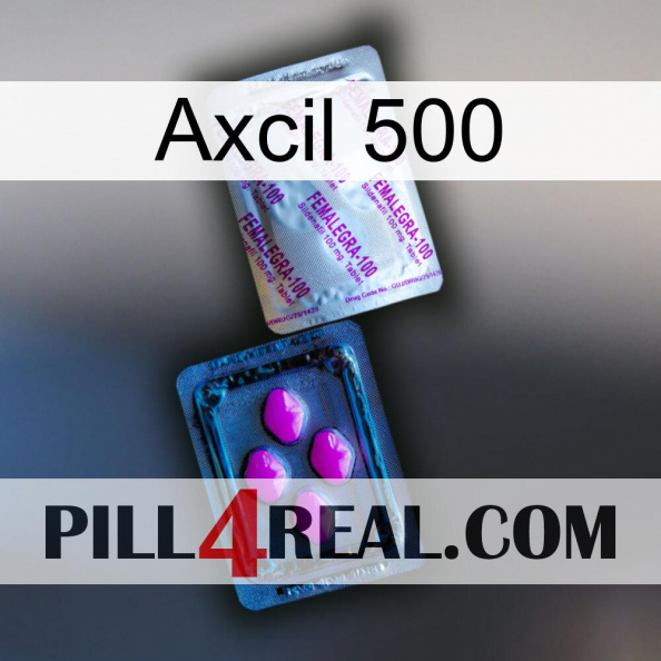 Axcil 500 37.jpg